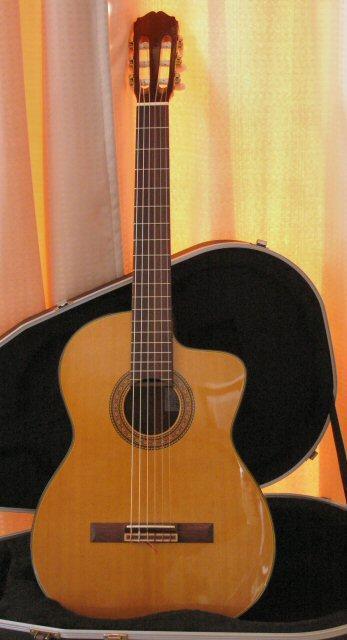 TAKAMINE DSP312: G-works